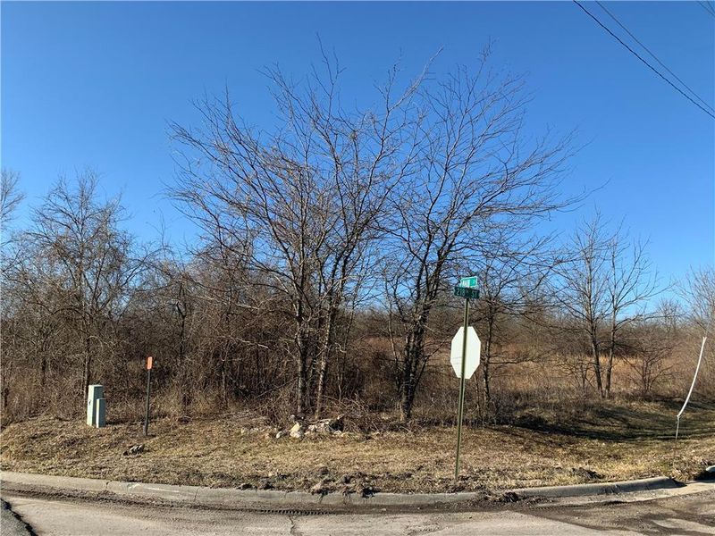 TBD N Main St, Peculiar, MO 64078