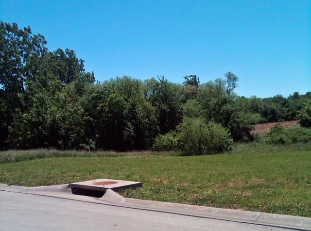 Sam Hiner Dr, Cameron, MO 64429