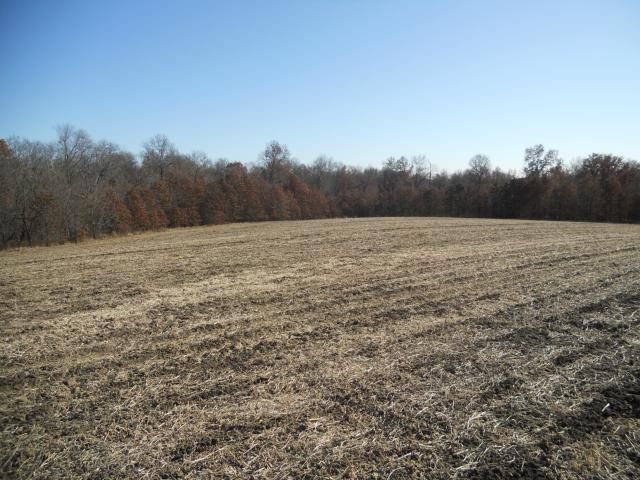 Fairmont Ave, Harrison, MO 64632