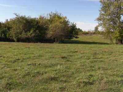 E 199th St, Pleasant Hill, MO 64080