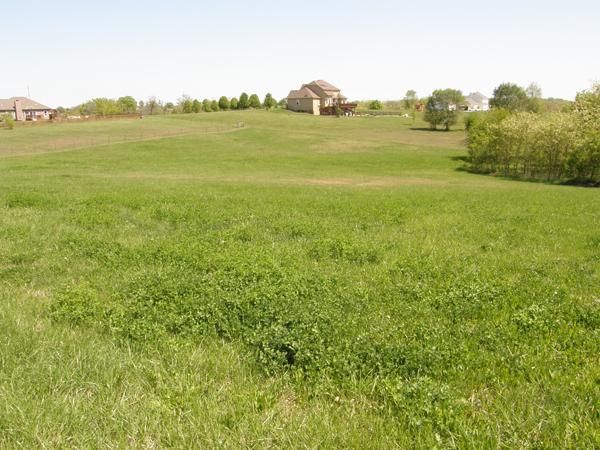 169 Hw, Smithville, MO 64089