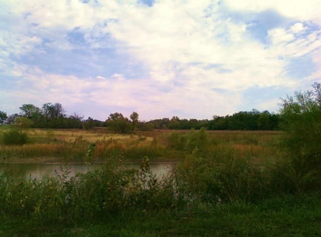 38604 E County Line Rd, Pleasant Hill, MO 64080