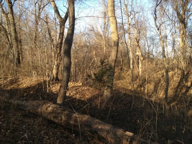 2319 S Holloway Rd, Oak Grove, MO 64075