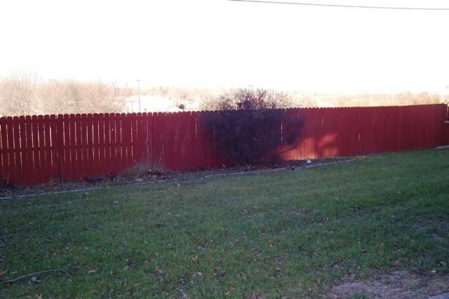 313 Dawn Ave, Cameron, MO 64429