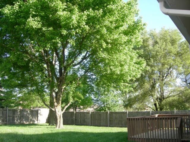 5832 Marion Ave, Kansas City, MO 64133