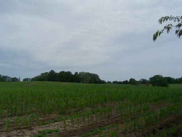 0000 Winn Rd, Lathrop, MO 64465