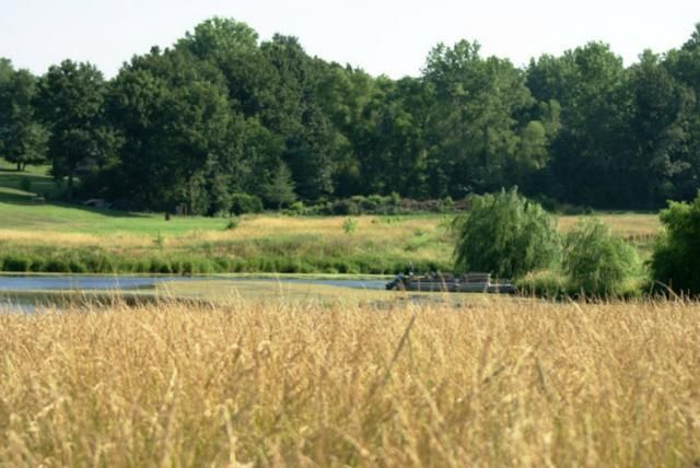N Hoover Rd, Buckner, MO 64016