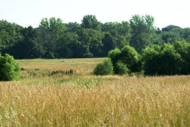 N Hoover Rd, Buckner, MO 64016