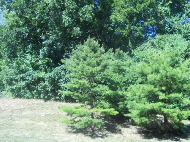 Wildbriar Ct, Liberty, MO 64068