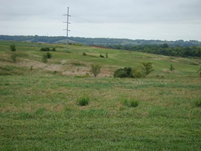 Lot 4 Greenton Rd, Odessa, MO 64076