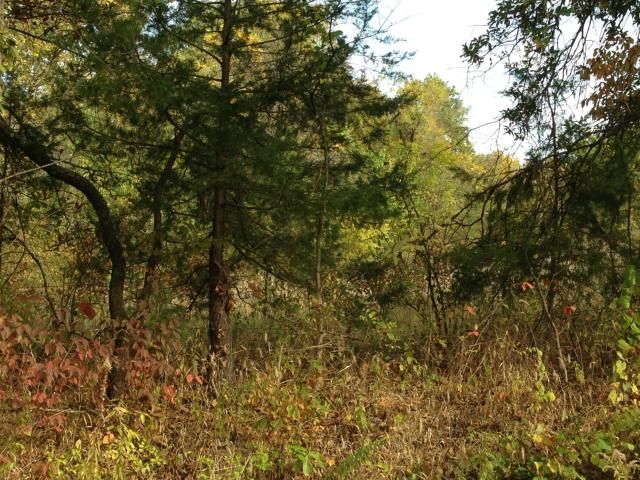39500 E Boswell Rd, Lone Jack, MO 64070