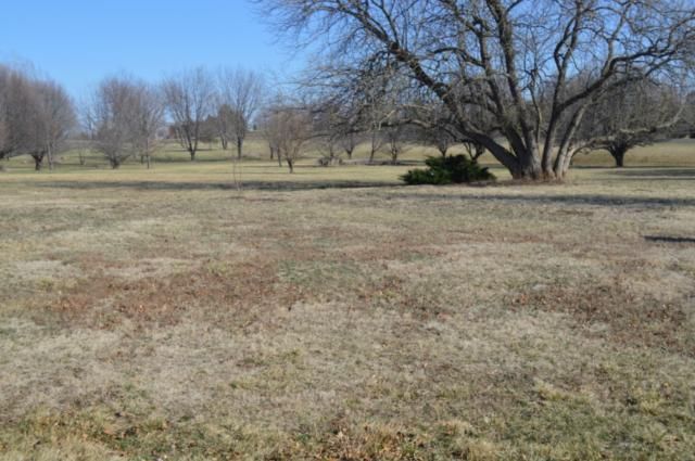 17875 Bluejacket St, Overland Park, KS 66062
