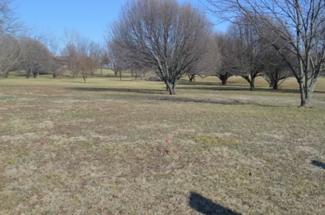 17875 Bluejacket St, Overland Park, KS 66062