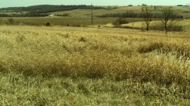10590 Greenton Rd, Wellington, MO 64097