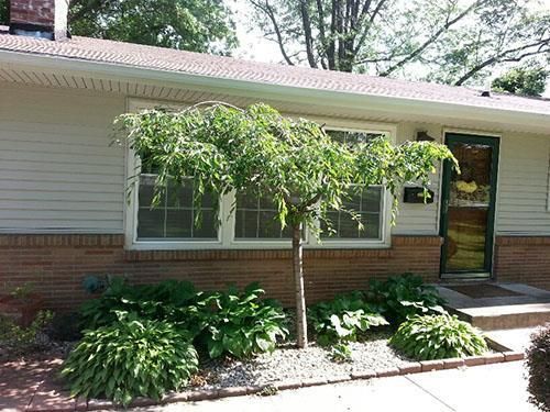 12311 E 54th St, Kansas City, MO 64133