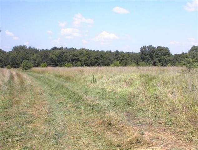 296 B NW 4501 Rd, Adrian, MO 64720