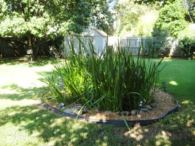 515 N Delaware St, Butler, MO 64730