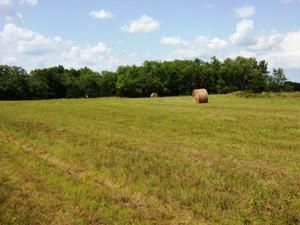 185 St, Fort Scott, KS 66701