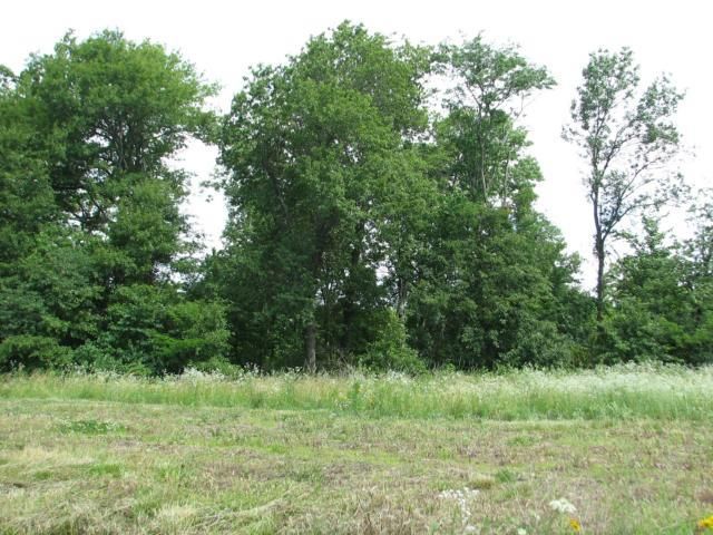 Lot 99 Maple St, Lone Jack, MO 64070