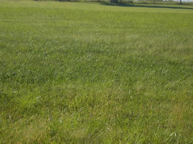 Lot 45 St, Cleveland, MO 64734
