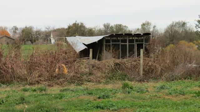7708 E 235th St, Peculiar, MO 64078