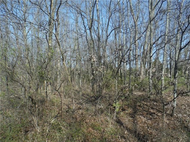 Fox Ln, Ozawkie, KS 66070