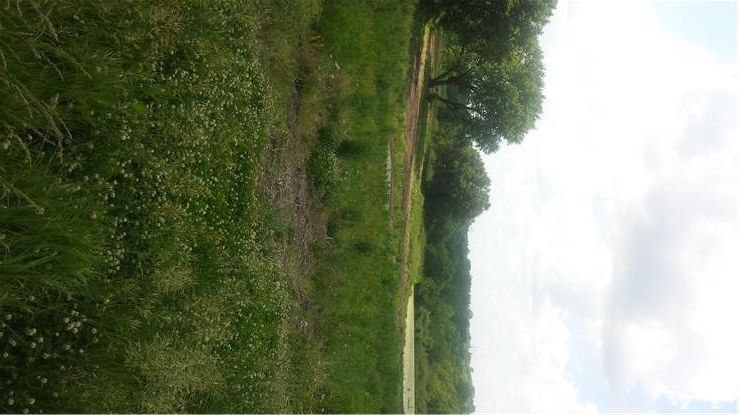 Scott Road N/A, Edgerton, MO 64444