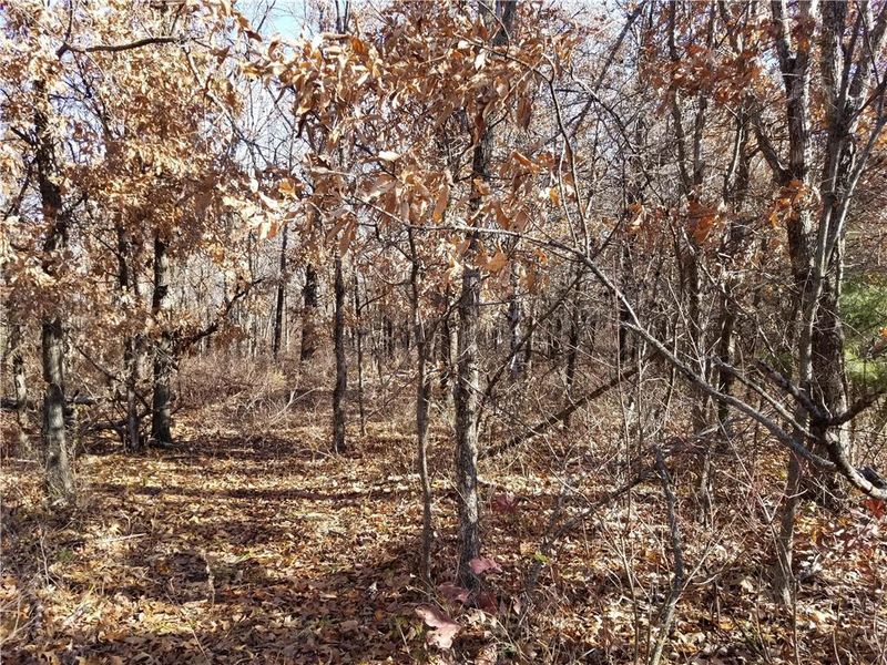 170th St, Kidder, MO 64649
