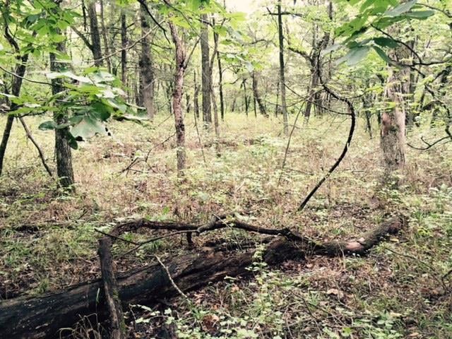 0000 Gwynn Rd, Centerville, KS 66014