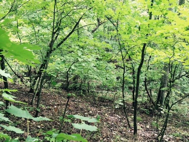 0000 Gwynn Rd, Centerville, KS 66014