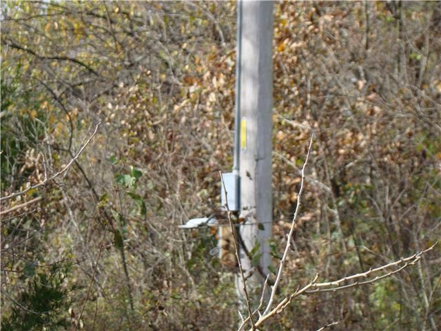 350 Rd, Holden, MO 64040