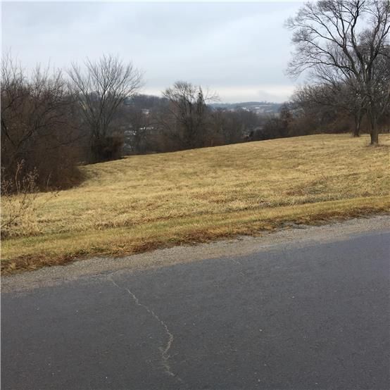 Dryden St, Odessa, MO 64076