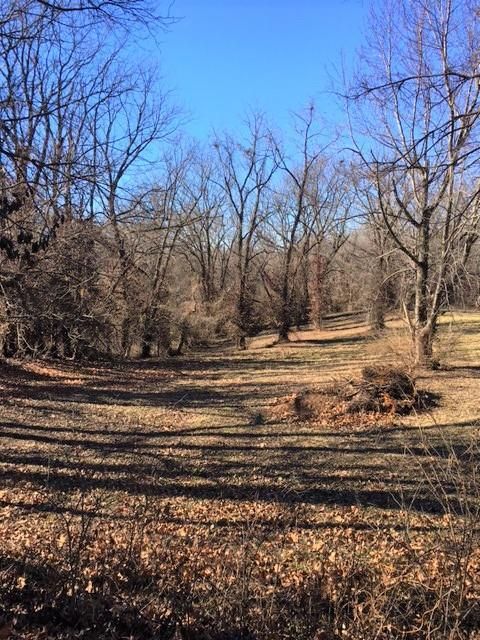 Tremont St, Lexington, MO 64067
