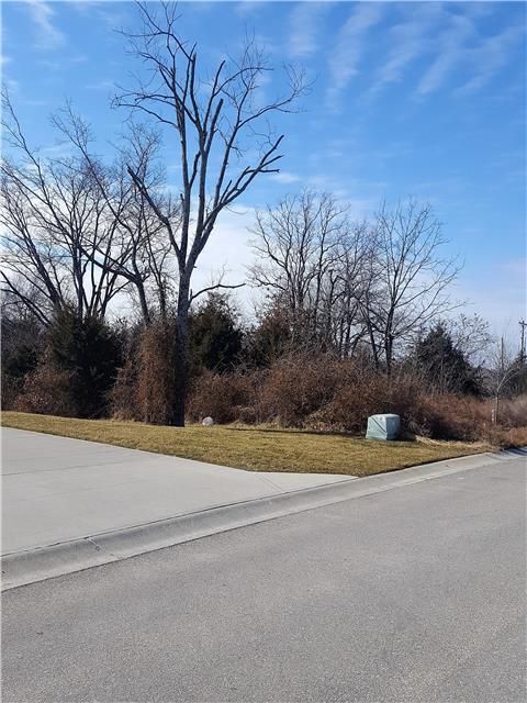 715 Springridge Rd, Warrensburg, MO 64093