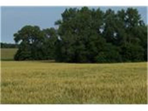Lot 2 D Hw, Polo, MO 64671