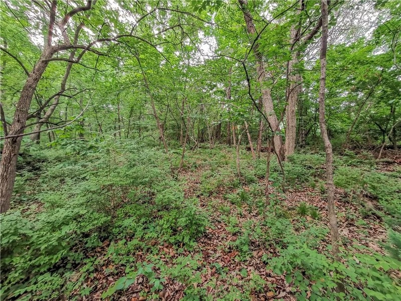 6004 West Shore Ct, Parkville, MO 64152