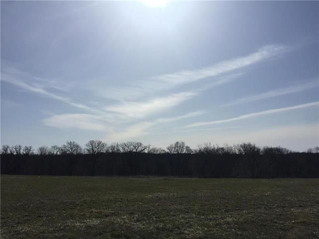 LOT 10 SW Lakeview Dr, Trimble, MO 64477