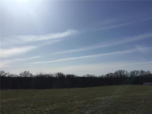 LOT 10 SW Lakeview Dr, Trimble, MO 64477