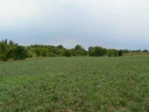 23434 170th St, Burlington Jct, MO 64428