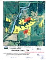130th St, Hopkins, MO 64461
