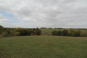 State Highway B N/A, Pickering, MO 64476