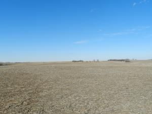 Almond Rd, Elmo, MO 64445