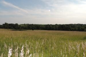 Olympic Rd, Parnell, MO 64475