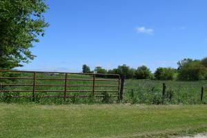 19353 240th St, Skidmore, MO 64487