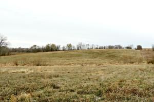 270th St, Ravenwood, MO 64468