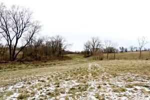 270th St, Ravenwood, MO 64468