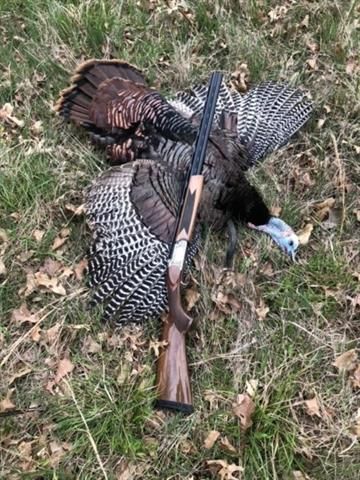 Rr 2 Box 149 Rd, Adrian, MO 64720
