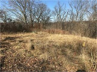 Lot 11 Chateau Ct, Parkville, MO 64152