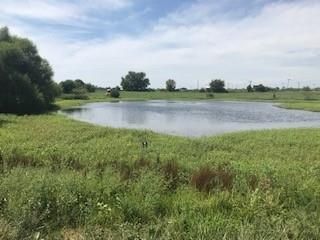NW 361st Rd, Warrensburg, MO 64093