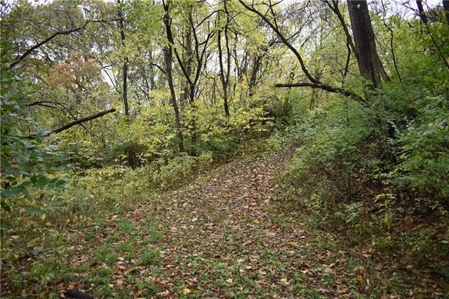 Scott Ave, Liberty, MO 64068
